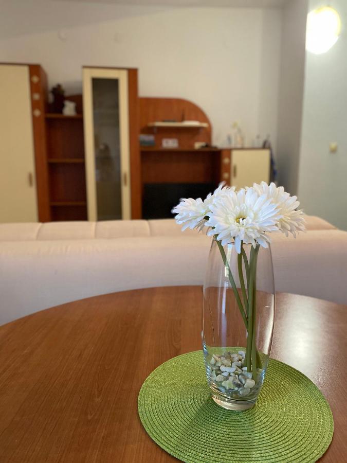 Apartments Mandarina Garden Petrovac Екстер'єр фото